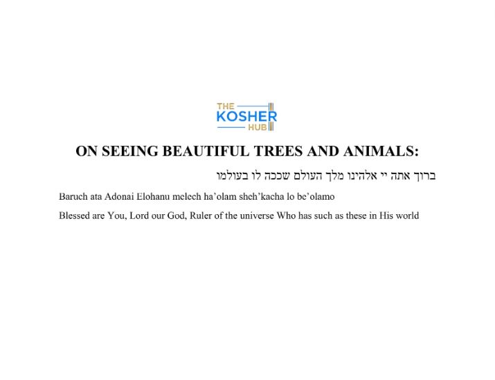 Blessing for Trees