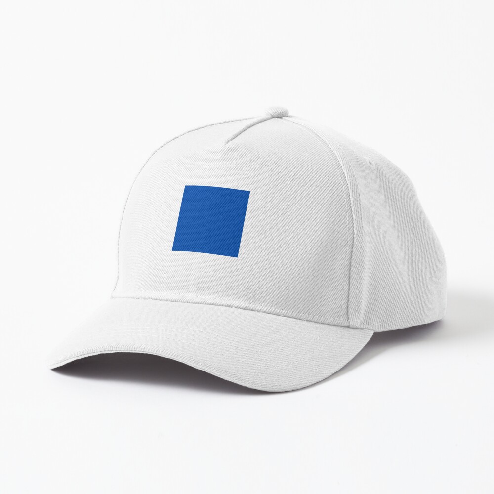 Blue Square Campaign Baseball Hat