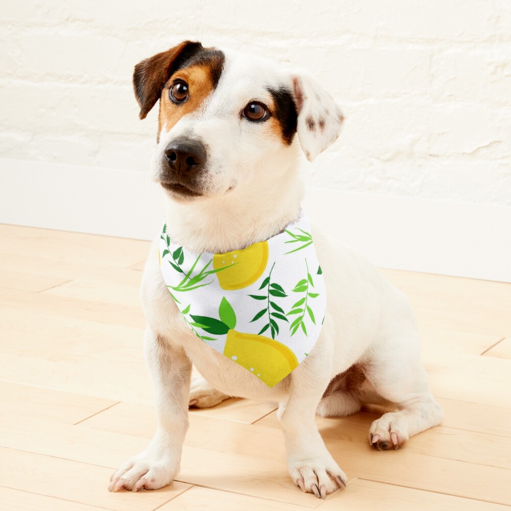 Sukkot Pet Bandana