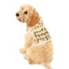 Passover Pet Hoodie
