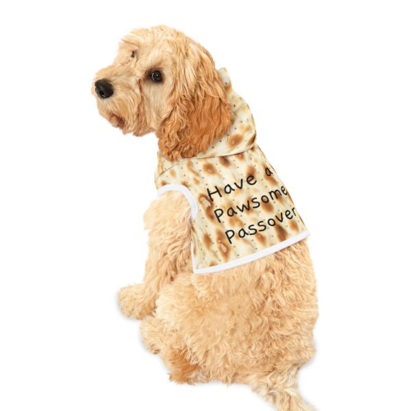 Passover Pet Hoodie