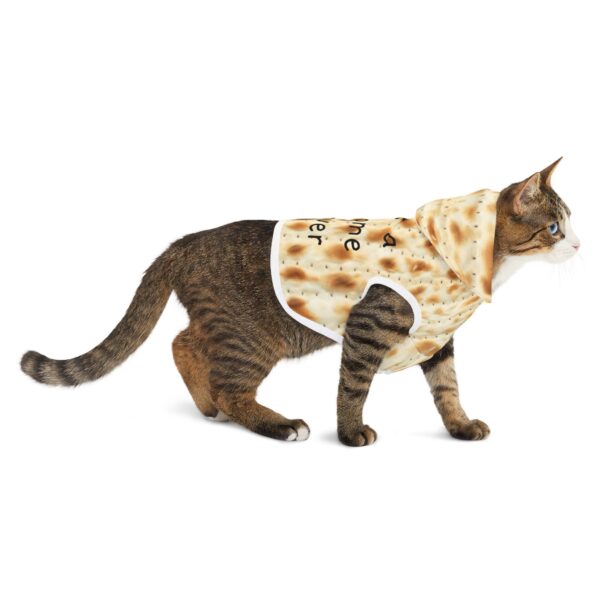 Passover Pet Hoodie