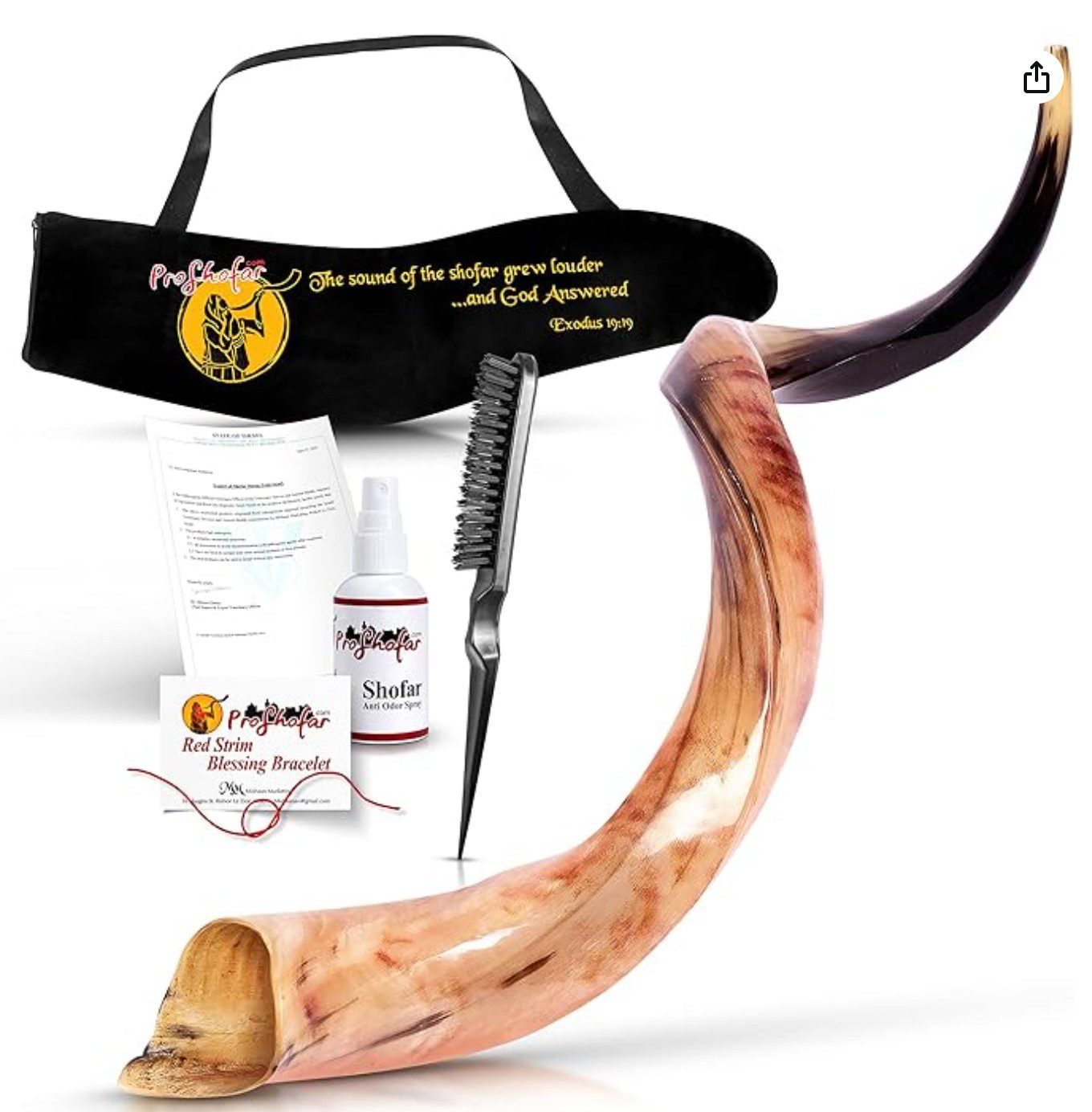 Proshofar Fully Polished Kudu Shofar — shofar for Rosh Hashanah
