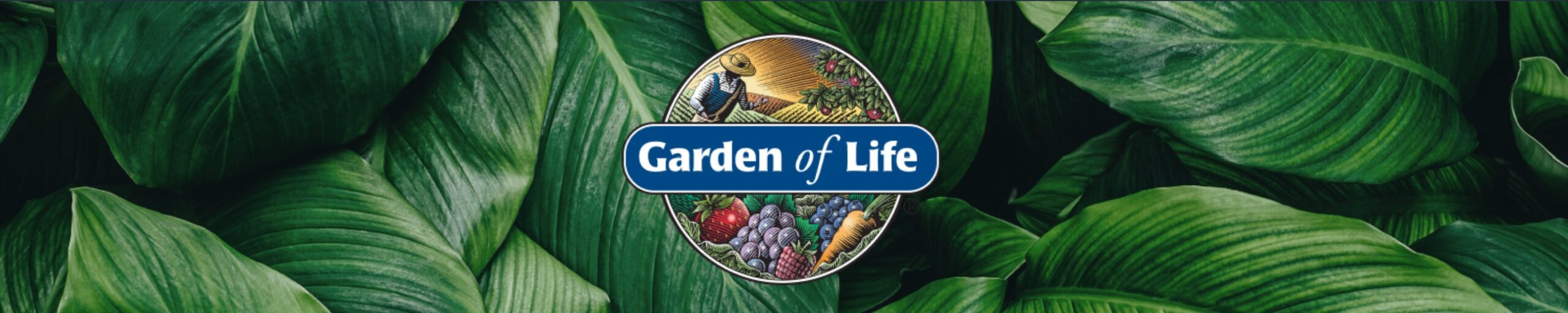Garden of Life Kosher Meal Replacement — Shop on Amazon