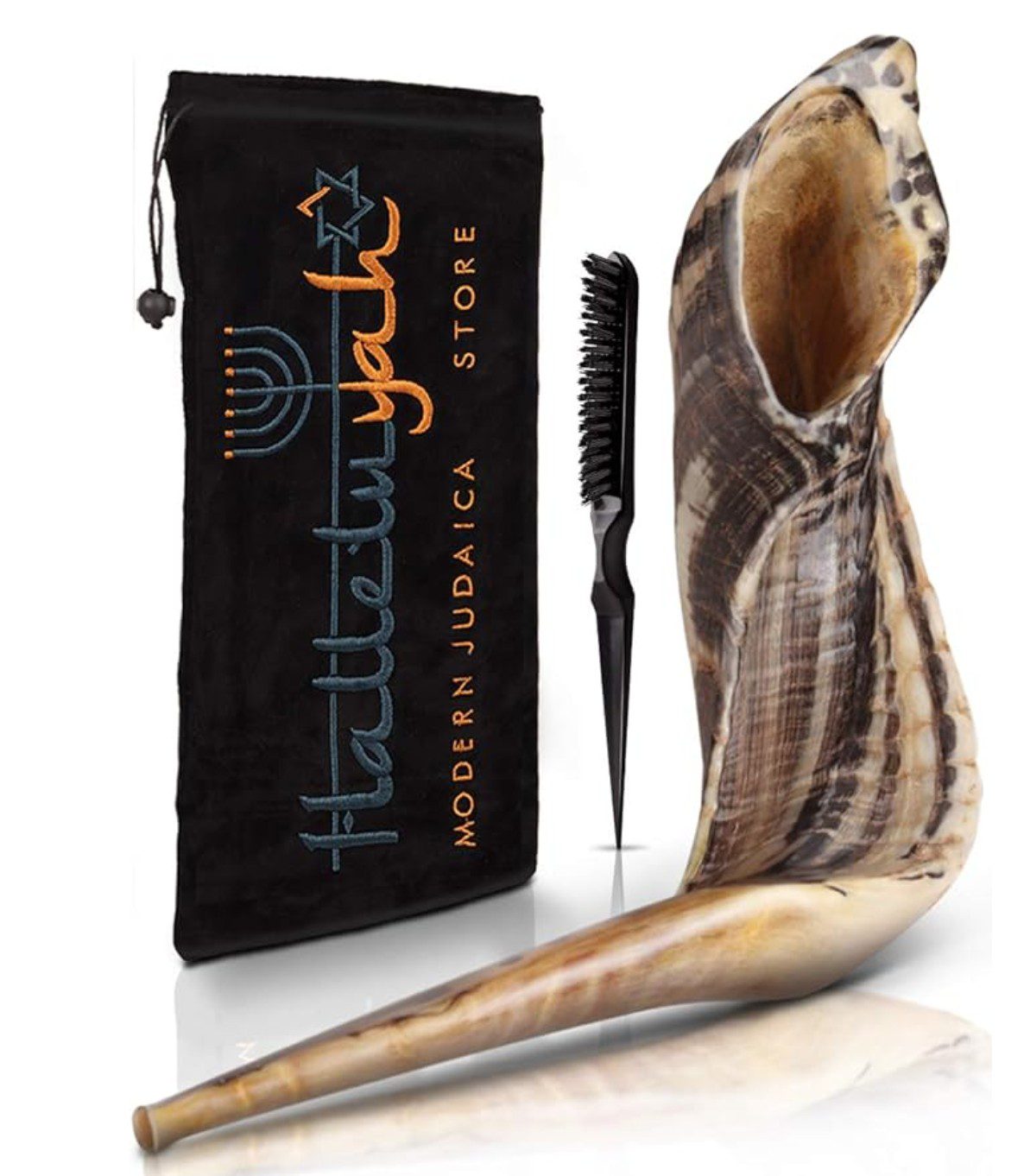 Israeli Ram's Horn Shofar, odor-treated — traditional shofar for Rosh Hashanah
