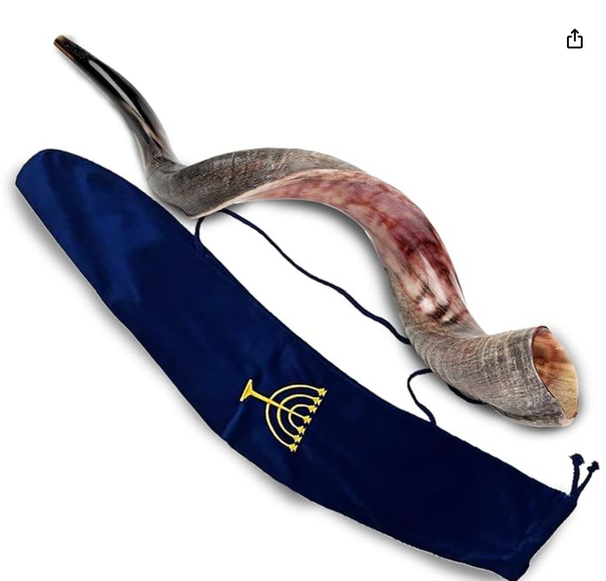 Kudu Shofar from Israel — traditional shofar for Rosh Hashanah