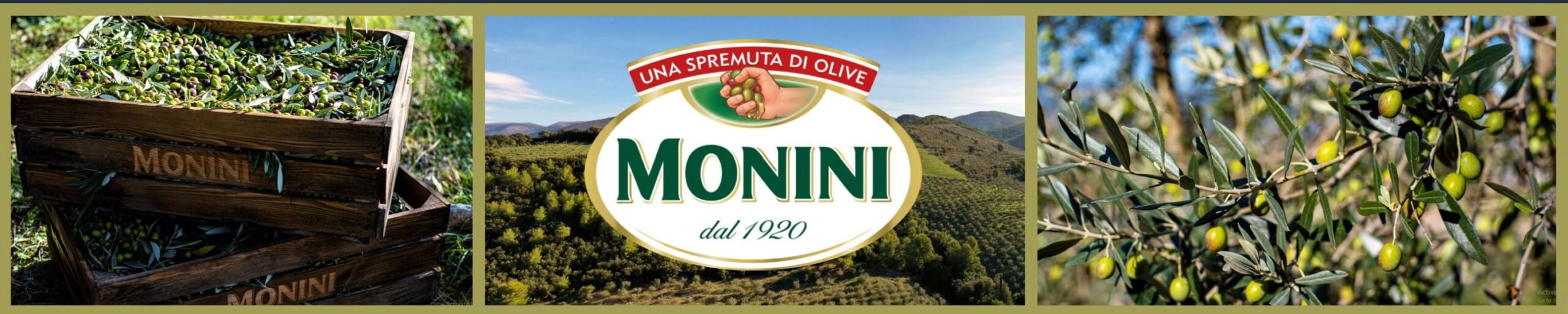 Monini — Shop on Amazon