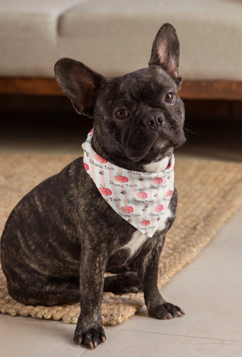 Rosh Hashanah Pet Bandana — The Kosher Hub Etsy shop