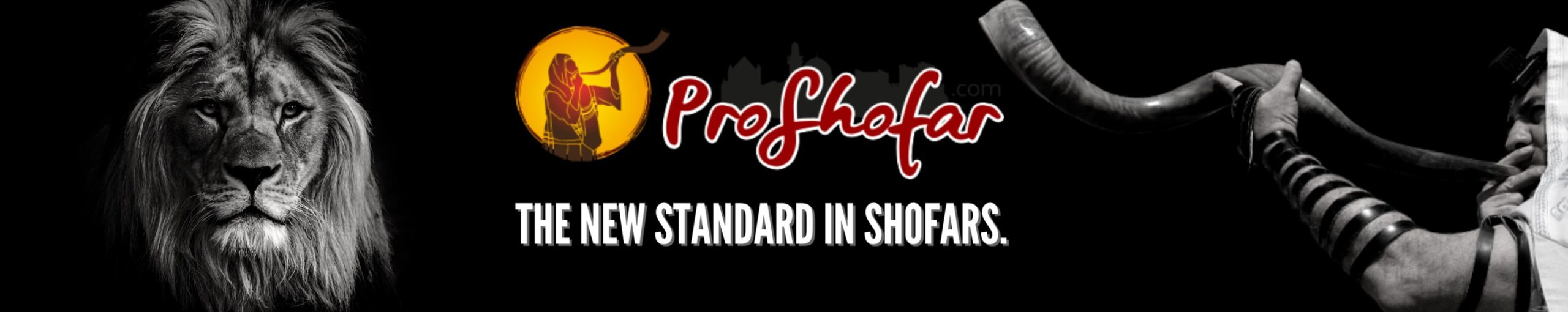 Proshofar — Shop Shofars on Amazon