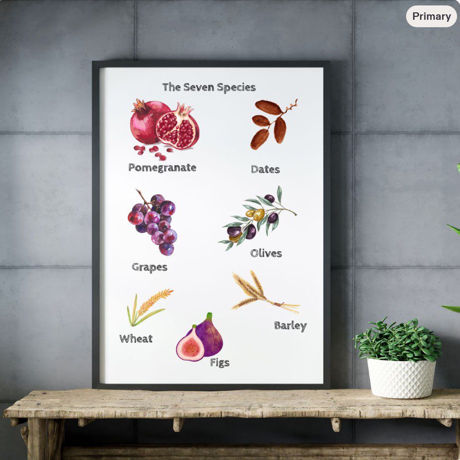 Tu Bishvat Seven Species PDF — printable from The Kosher Hub Etsy shop