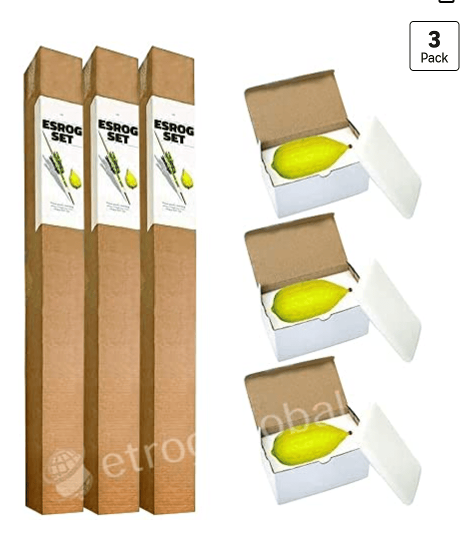 Etrog Global Beautiful Etrog Set, 3 sets — kosher Arba Minim for families and communities
