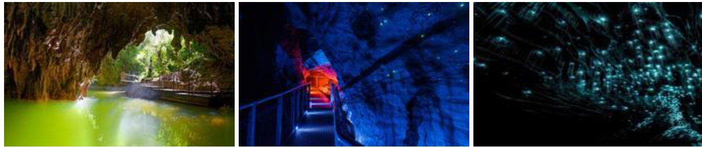 Waitomo Glowworm Caves, New Zealand — visited en route to Rotorua on the kosher tour